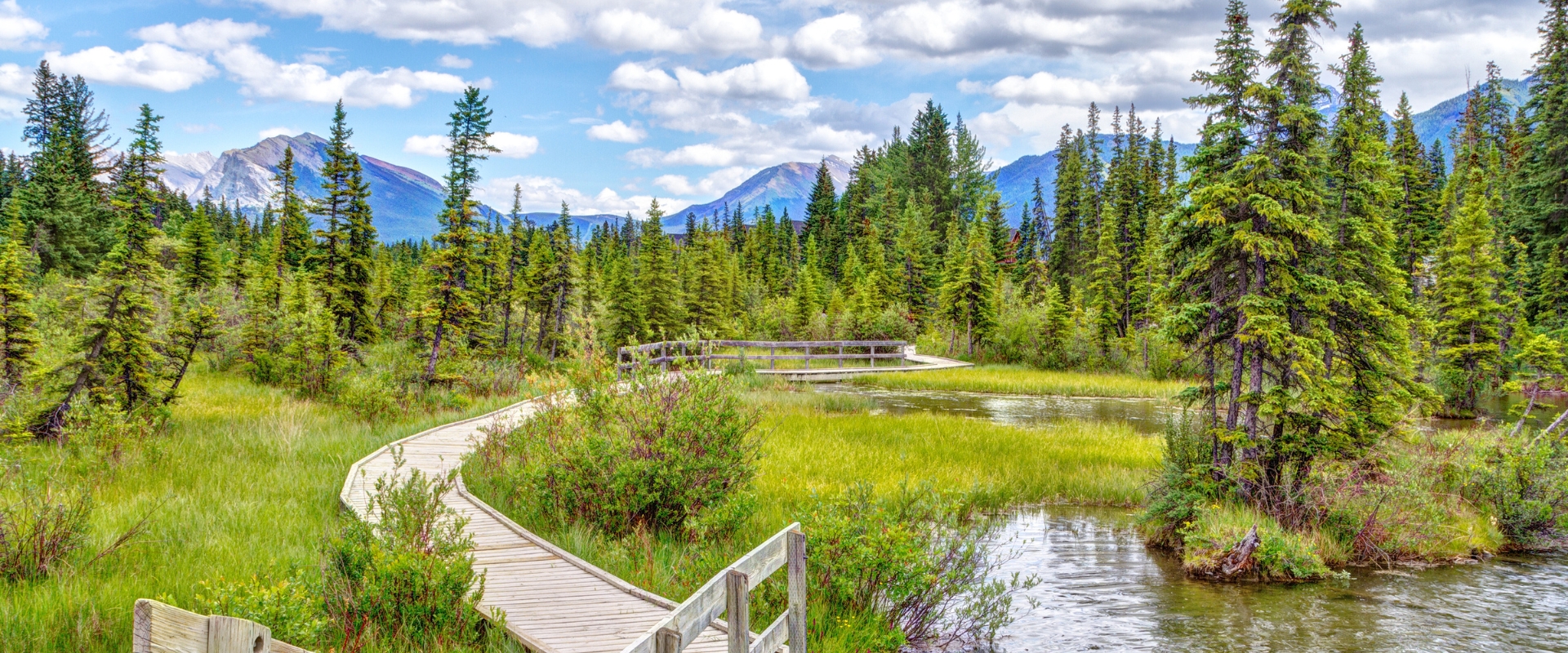 Rebecca Innes Consulting RIC - Case Study - Town of Canmore 9